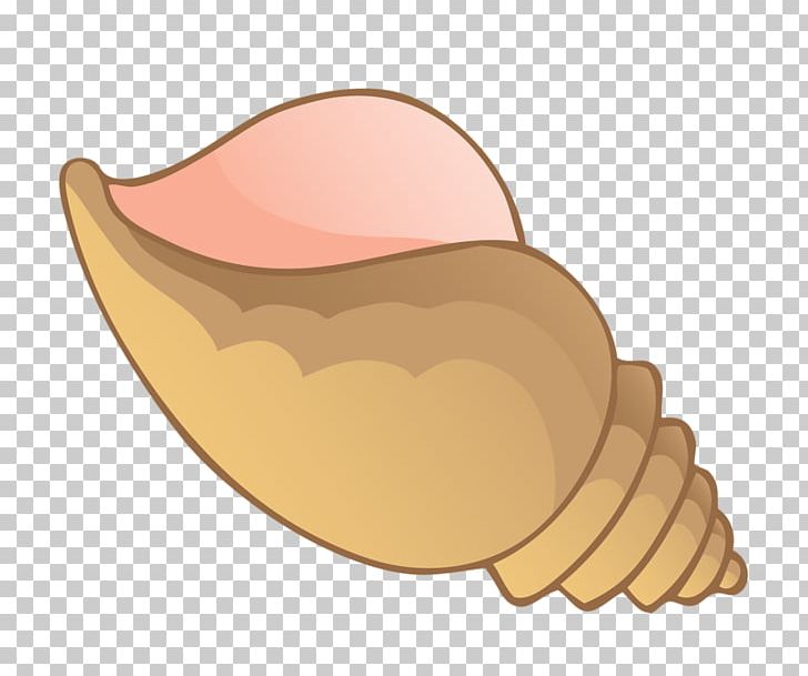 Conch Seashell PNG, Clipart, Cartoon, Conch, Earth, Earth Tones, Encapsulated Postscript Free PNG Download