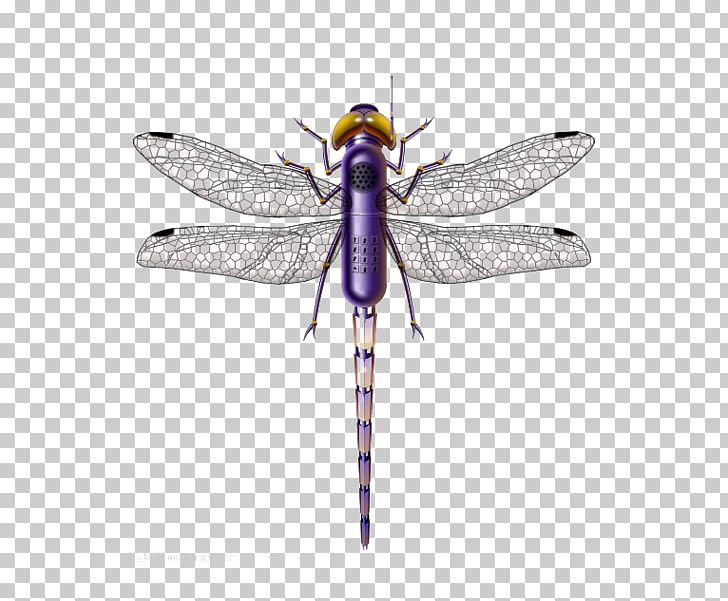 Dragonfly Insect Purple PNG, Clipart, Animal, Arthropod, Background, Decorative, Explosion Effect Material Free PNG Download