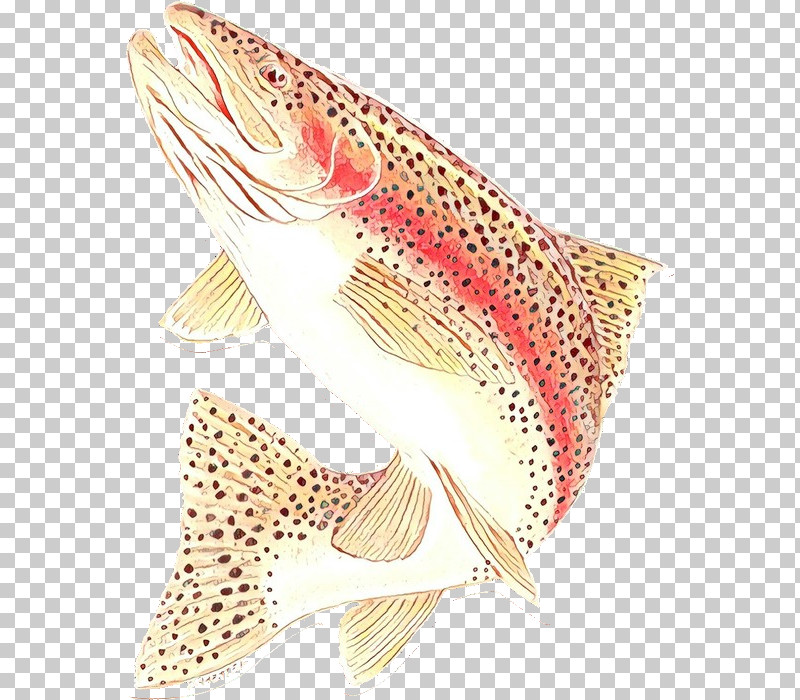 Fish Fish Tail PNG, Clipart, Fish, Tail Free PNG Download