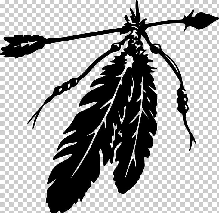 Eagle Feather Law Native Americans In The United States Indian Arrow PNG, Clipart, Animals, Arrow And Feathers, Black And White, Branch, Decal Free PNG Download