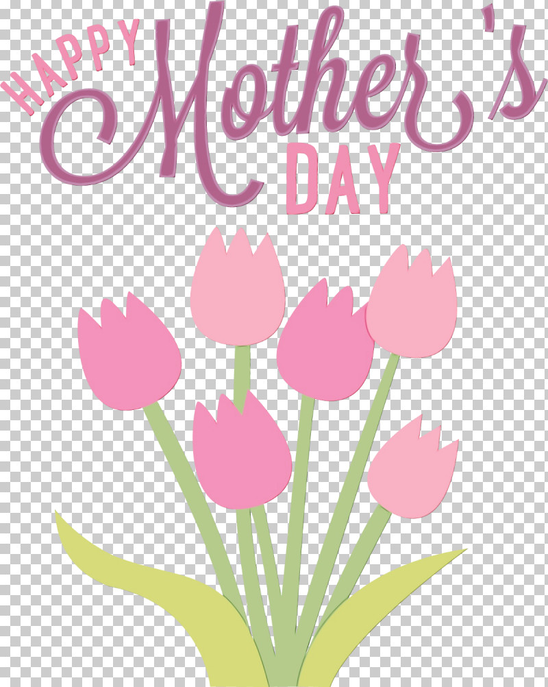 Tulip Pink Flower Font Plant PNG, Clipart, Cut Flowers, Flower, Lily Family, Paint, Petal Free PNG Download