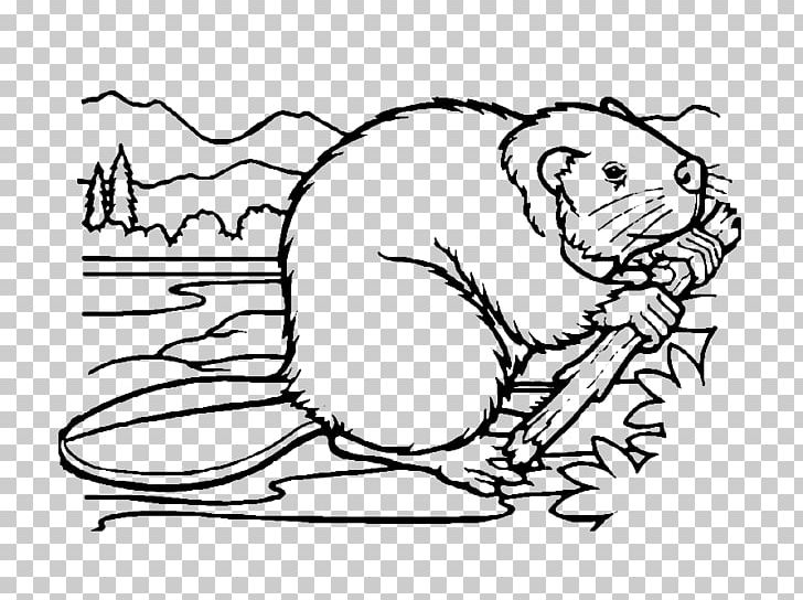 Beaver Whiskers Coloring Book Drawing PNG, Clipart, Animal, Animals, Arm, Black, Carnivoran Free PNG Download