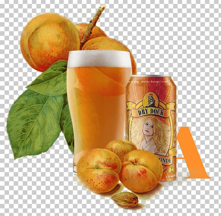 Beer Ale Apricot Brewery Dry Dock Brewing Company PNG, Clipart, Alcohol By Volume, Ale, Apricot, Beer, Beer Brewing Grains Malts Free PNG Download