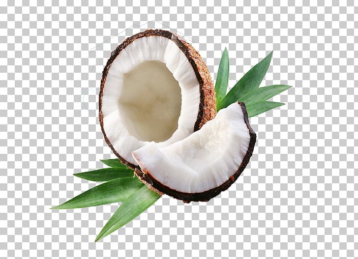 Coconut Water Coconut Oil PNG, Clipart, Beautiful, Coconut, Coconut Cream, Coconut Leaves, Coconut Oil Free PNG Download
