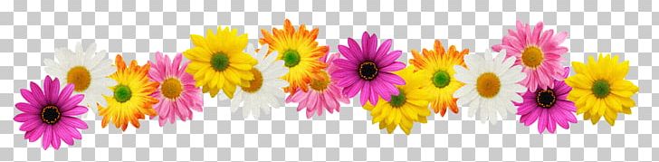 Flower Stock Photography Spring PNG, Clipart, Computer Wallpaper, Desktop Wallpaper, Flower, Magenta, Marigold Free PNG Download
