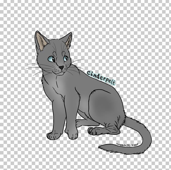 Korat Whiskers Kitten Wildcat Domestic Short-haired Cat PNG, Clipart, Animals, Canidae, Carnivoran, Cat, Cat Like Mammal Free PNG Download