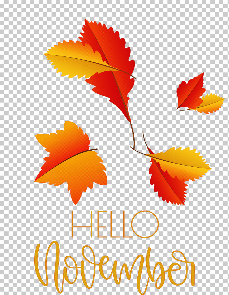 Hello November November PNG, Clipart, Biology, Flower, Geometry, Hello November, Leaf Free PNG Download