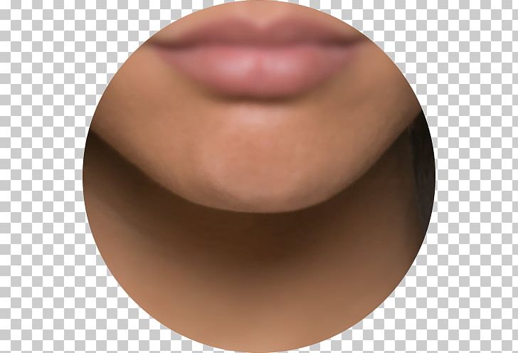 Chin Lip Barbilla National Park PNG, Clipart, Area, Cheek, Chin, Closeup, Conservation Area Free PNG Download