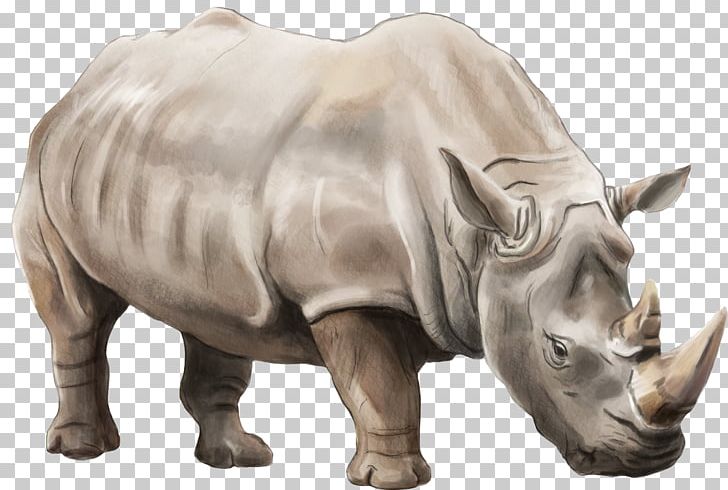 Elasmotherium Scalable Graphics Rendering PNG, Clipart, Animals, Computer Icons, Desktop Wallpaper, Download, Fauna Free PNG Download
