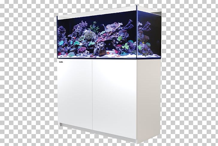 Red Sea Aquariums Reef Aquarium PNG, Clipart, Aquarium, Aquarium Filters, Aquariums, Display Device, Filtration Free PNG Download