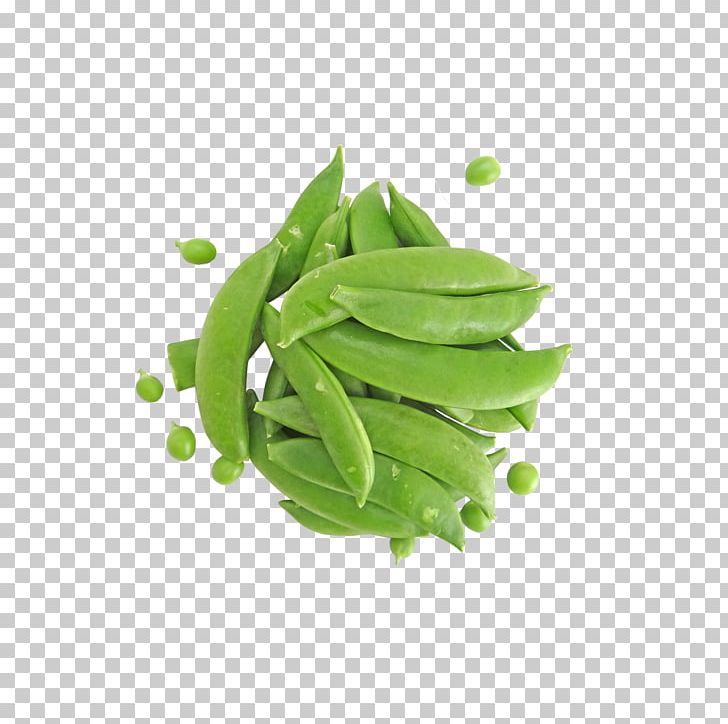 Snow Pea Snap Pea Nutrition Cultivar Sugar PNG, Clipart, Bean, Cultivar, Edamame, Food, Food Drinks Free PNG Download