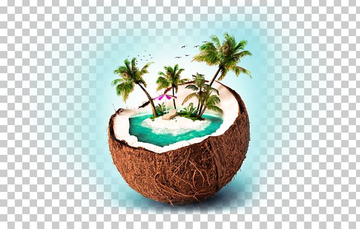 Package Tour Siargao Travel Agent Travel Website PNG, Clipart, Coconut, Flowerpot, Fruit Nut, Guidebook, Hotel Free PNG Download