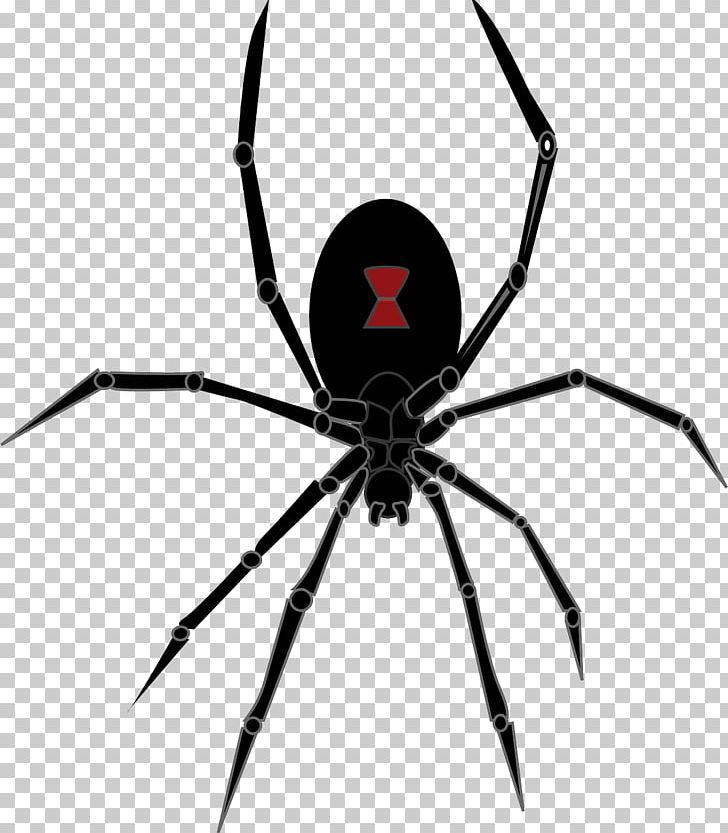 Redback Spider Southern Black Widow Drawing PNG, Clipart, Ara, Art, Arthropod, Background Black, Black Free PNG Download