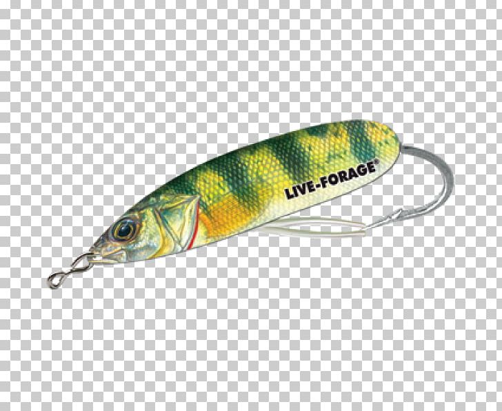 Spoon Lure Perch Fish AC Power Plugs And Sockets PNG, Clipart, Ac Power Plugs And Sockets, Bait, Bony Fish, Fish, Fishing Bait Free PNG Download