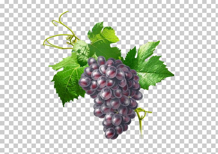Zante Currant Grapevines Food PNG, Clipart, Berry, Bilberry, Blackberry, Boysenberry, Currant Free PNG Download