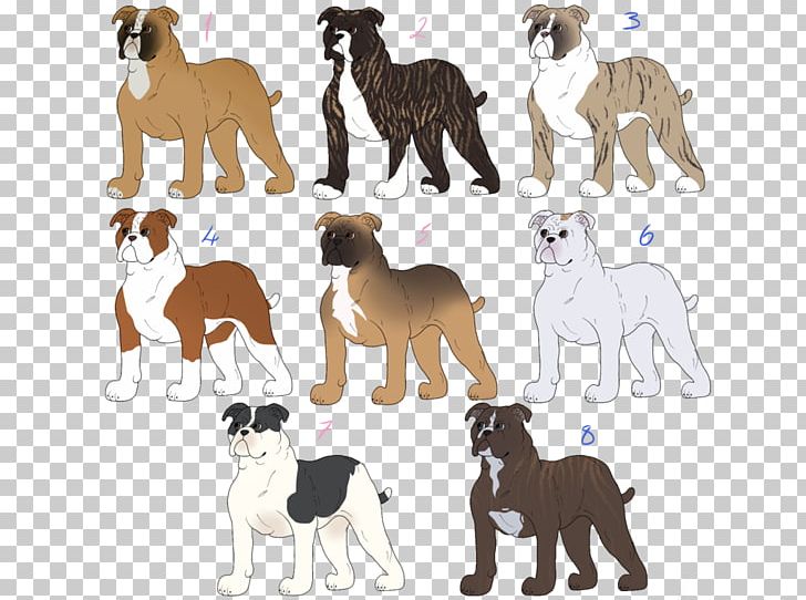 Dog Breed Puppy Olde English Bulldogge Companion Dog PNG, Clipart, Animal, Animal Figure, Animals, Breed, Brindle Free PNG Download