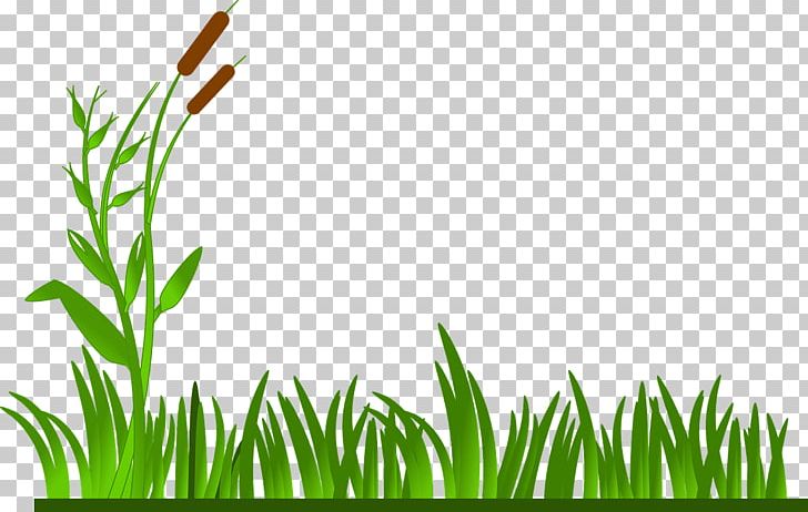 Lawn PNG, Clipart, Commodity, Computer Icons, Computer Wallpaper, Desktop Wallpaper, Download Free PNG Download