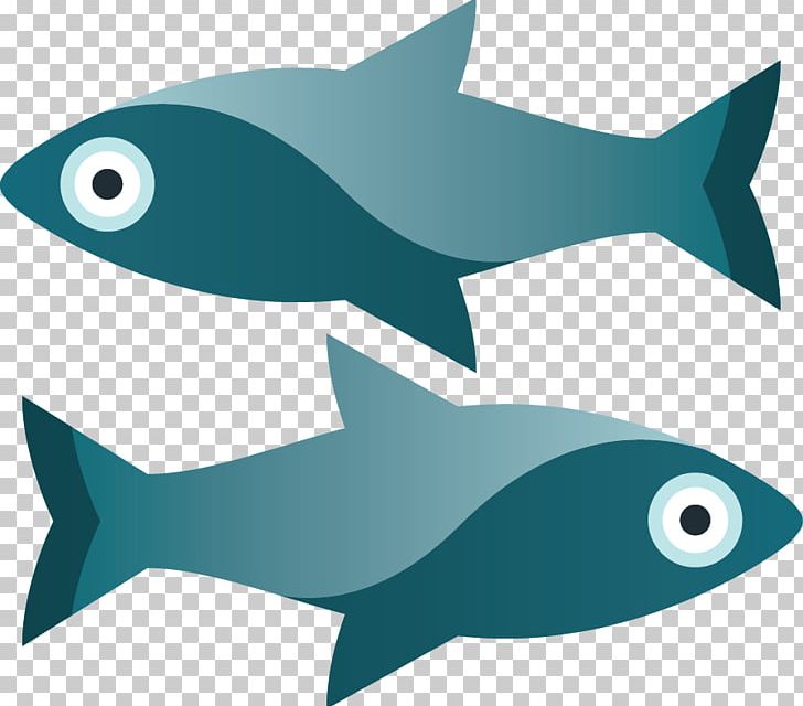 Requiem Sharks Fish Fin PNG, Clipart, Allergy, Animals, Aquatic Animal, Cartilaginous Fish, Dolphin Free PNG Download