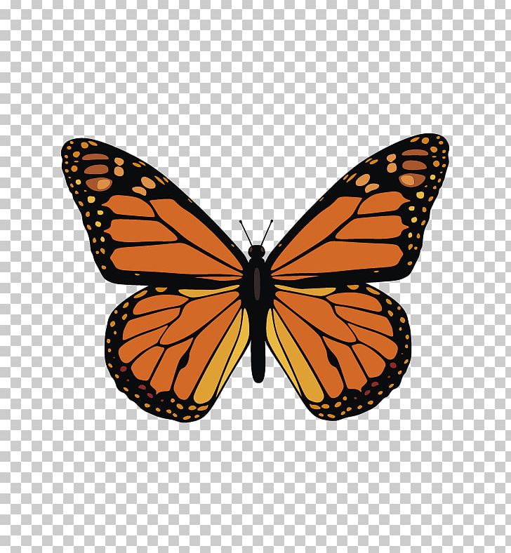 The Monarch Butterfly Graphics PNG, Clipart, Arthropod, Brush Footed Butterfly, Butterflies And Moths, Butterfly, Caterpillar Free PNG Download