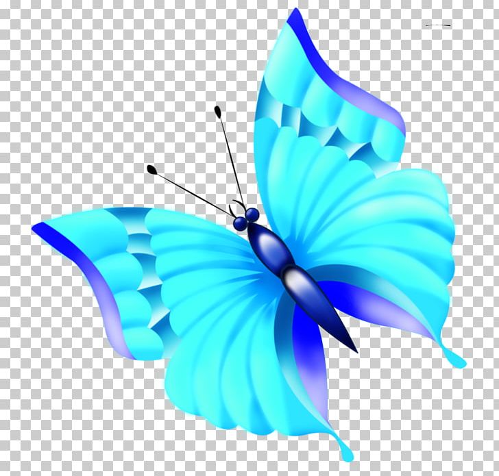 Brush-footed Butterflies Butterfly Insect PNG, Clipart, Arthropod, Azure, Brush Footed Butterfly, Butterflies And Moths, Butterfly Free PNG Download