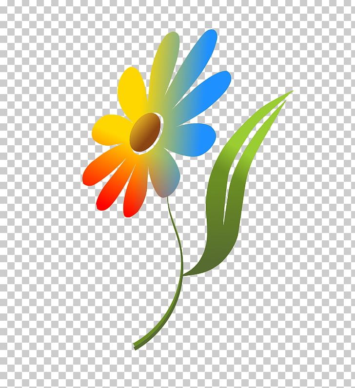 Common Daisy Rainbow PNG, Clipart, Blog, Color, Common Daisy, Computer Wallpaper, Daisy Free PNG Download