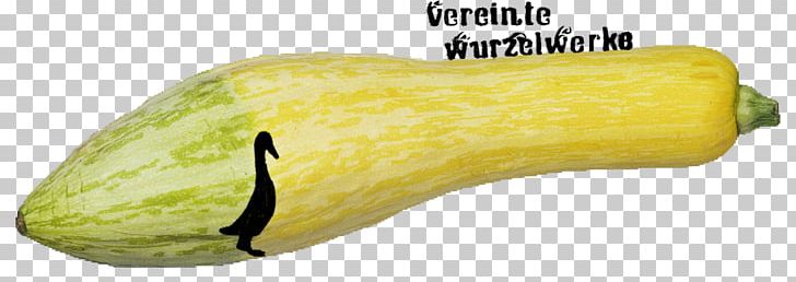 Regiothek Winter Squash Food Biokreis Passau PNG, Clipart, Agriculture, Communitysupported Agriculture, Food, Fruit, Gherkin Free PNG Download