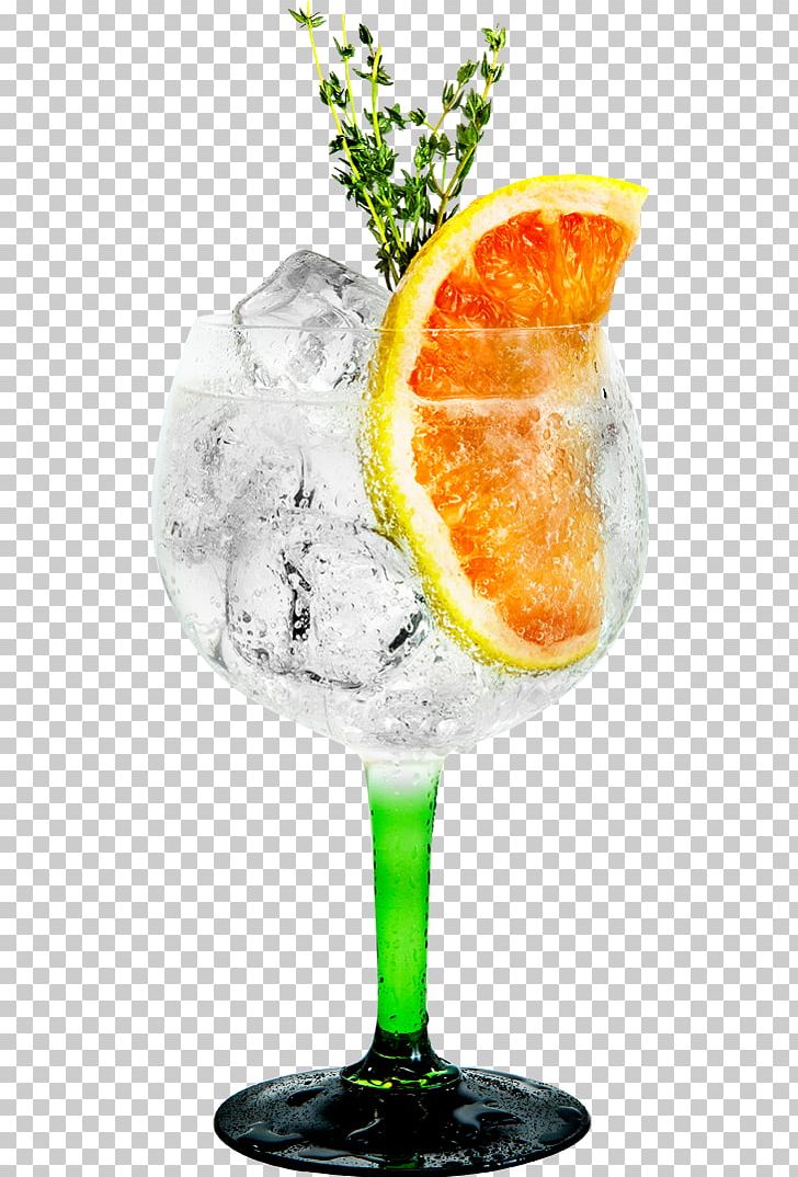 Cocktail Garnish Gin And Tonic Tanqueray Sea Breeze Martini PNG, Clipart, Alcoholic Drink, Bombay Sapphire, Botanicals, Classic Cocktail, Cocktail Free PNG Download
