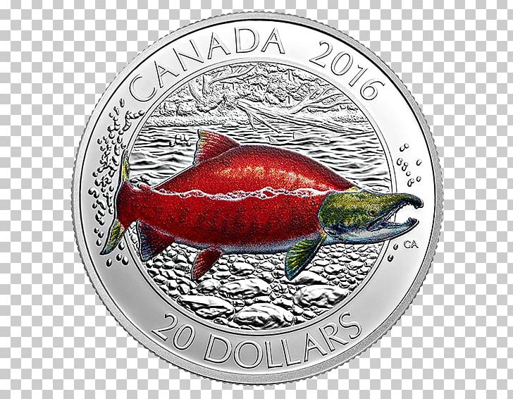 Coin Canada Fish Silver Salmon PNG, Clipart, Atlantic Salmon, Bullion, Canada, Coin, Coin Set Free PNG Download