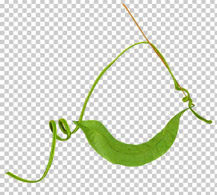 Swing PNG, Clipart, 8 October, Advertising, Blog, Download, Grass Free PNG Download