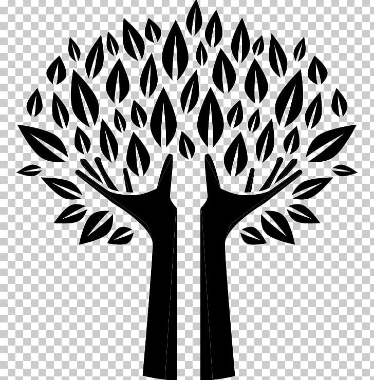 Tree Silhouette PNG, Clipart, Autocad Dxf, Black And White, Branch, Computer Icons, Download Free PNG Download