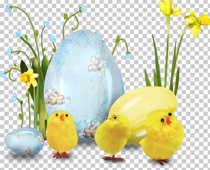 Easter Bunny Easter Egg Holiday Idea PNG, Clipart, Beak, Child, Easter, Easter Bunny, Easter Egg Free PNG Download