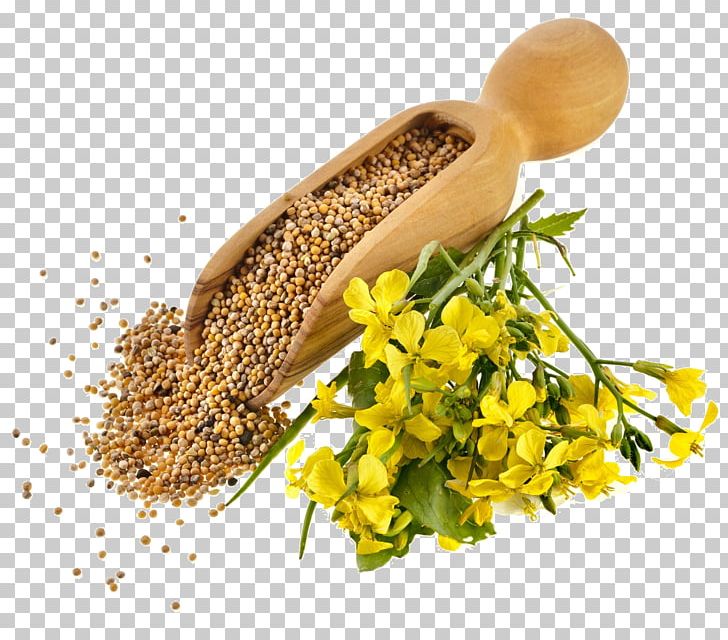 Indian Cuisine Mustard Plant Mustard Seed Mustard Oil Seed Oil PNG, Clipart, Canola Oil, Commodity, Condiment, Fennel Flower, Indian Cuisine Free PNG Download