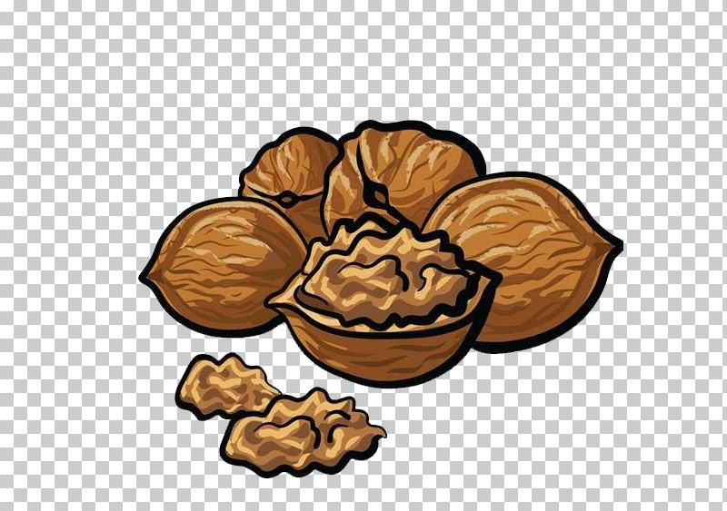 Nut Plant Tree Walnut Food PNG, Clipart, Food, Nut, Plant, Tree, Walnut Free PNG Download