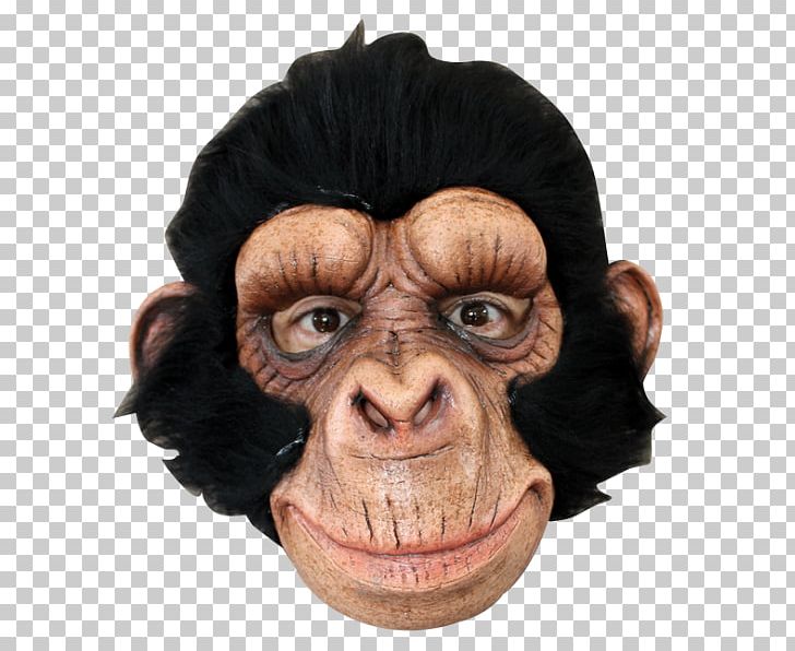 Chimpanzee Ape Latex Mask Halloween Costume PNG, Clipart, Ape, Art, Chimpanzee, Clothing, Clothing Accessories Free PNG Download