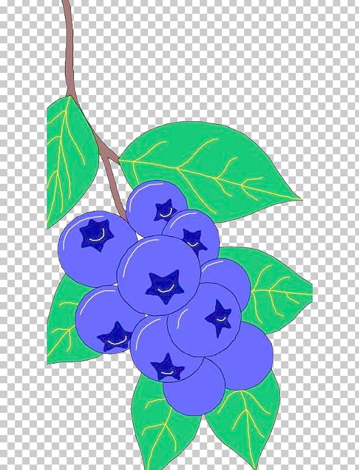 Vegetable Auglis Blueberry PNG, Clipart, Auglis, Blueberries, Blueberry, Blueberry Bush, Blueberry Cake Free PNG Download