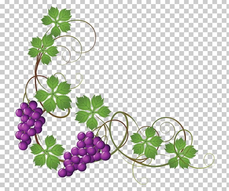 Common Grape Vine Wine Grape Leaves PNG, Clipart, Branch, Clip Art, Common Grape Vine, Encapsulated Postscript, Flora Free PNG Download