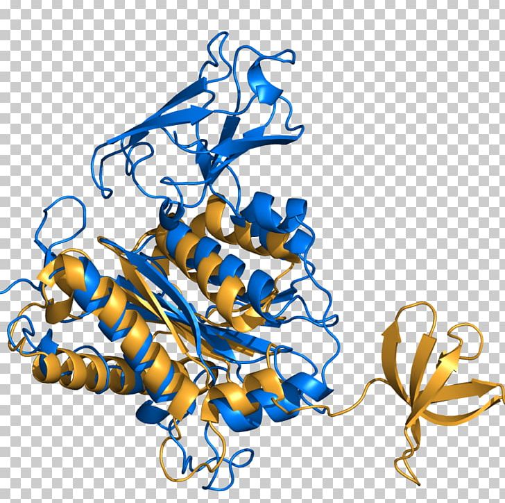PyMOL Protein Flower Illustration PNG, Clipart, Algorithm, Art, Artwork, Flower, Food Free PNG Download