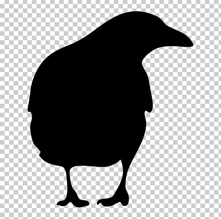 American Crow Common Raven PNG, Clipart, American Crow, Animals, Bird, Common Raven, Crow Free PNG Download