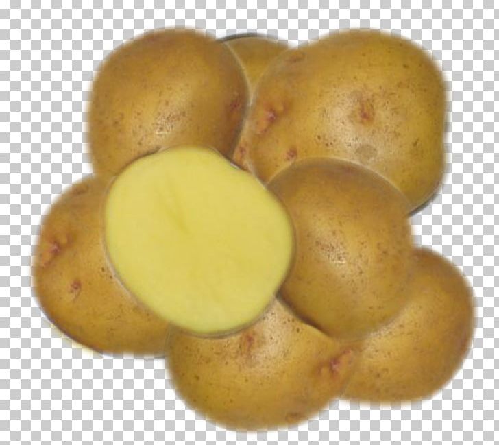 Russet Burbank Potato Yukon Gold Potato Bintje Tuber Kennebec Potato PNG, Clipart, Baking, Bintje, Commodity, Crop, Fingerling Potato Free PNG Download