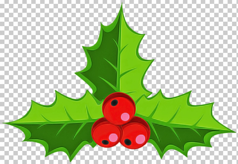 Holly PNG, Clipart, American Holly, Holly, Hollyleaf Cherry, Leaf, Plane Free PNG Download