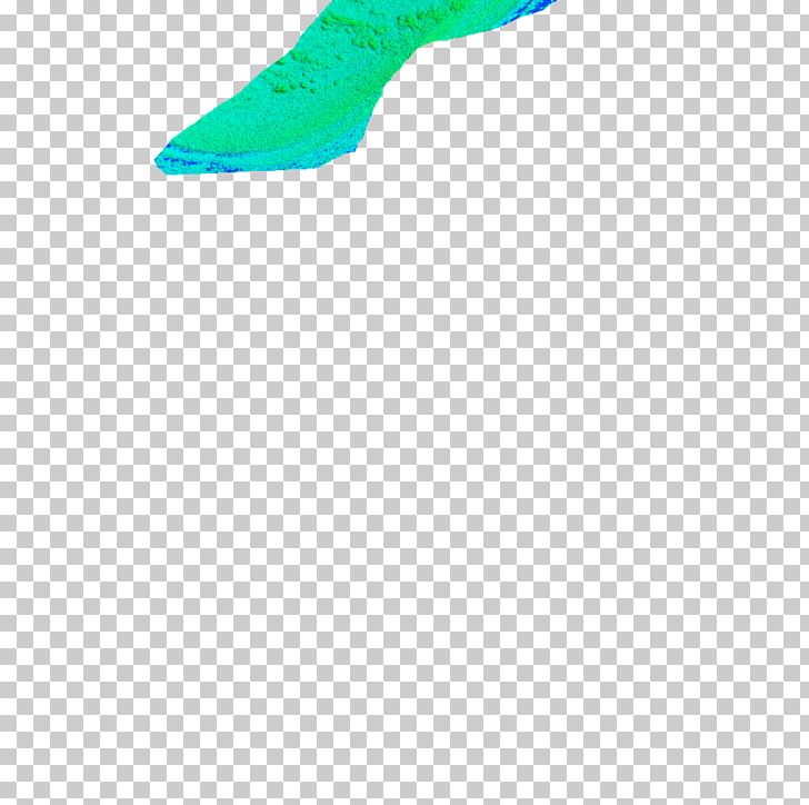 Green Shoe Line PNG, Clipart, Aqua, Art, Fish, Grass, Green Free PNG Download