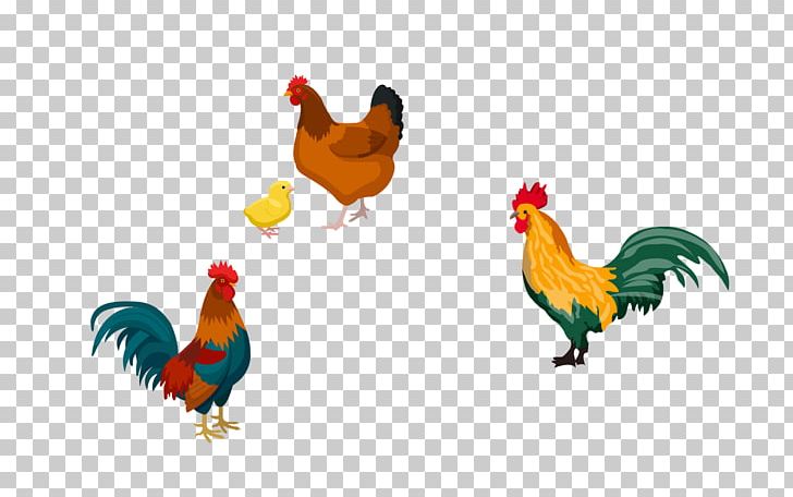 Rooster Roast Chicken PNG, Clipart, Animals, Beak, Bird, Chick, Chicken Free PNG Download