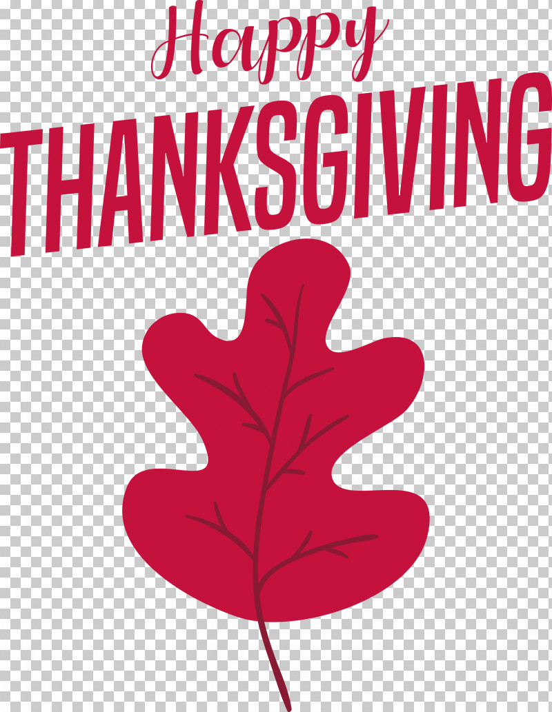 Happy Thanksgiving PNG, Clipart, Biology, Flower, Geometry, Happy Thanksgiving, Leaf Free PNG Download
