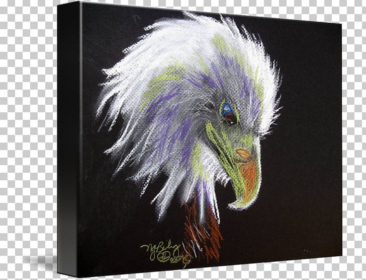 Bald Eagle Gallery Wrap Beak Canvas Art PNG, Clipart, Art, Bald Eagle, Beak, Canvas, Eagle Free PNG Download
