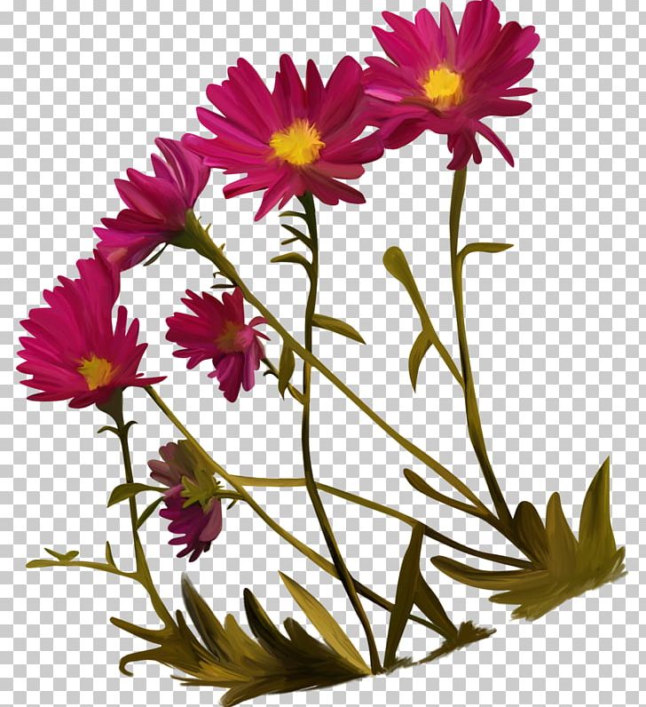 Cut Flowers Rose Floral Design Plant PNG, Clipart, Annual Plant, Argyranthemum Frutescens, Aster, Chrysanths, Cicek Free PNG Download