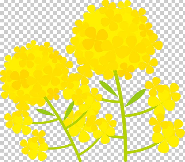 Illustration Of A Two-wheeled Flower. PNG, Clipart, Chrysanthemum, Chrysanths, Cut Flowers, Dandelion, Encapsulated Postscript Free PNG Download