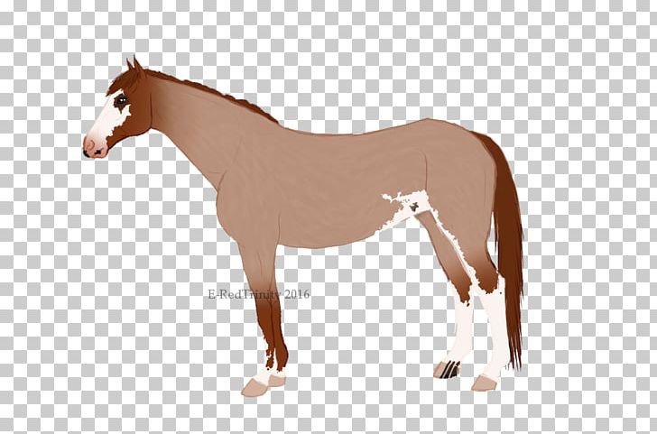 Mustang Foal Stallion Colt Mare PNG, Clipart, Bridle, Colt, Foal, Giger, Halter Free PNG Download