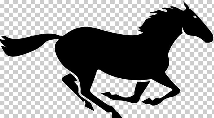 Horses & Jumping Show Jumping Equestrian PNG, Clipart, Animals, Animation, Collection, Desktop Wallpaper, English Riding Free PNG Download