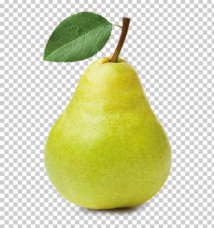 Asian Pear D'Anjou Fruit Tree Conference Pear PNG, Clipart, Anjou, Asian Pear, Cherry, Conference Pear, Fruit Tree Free PNG Download