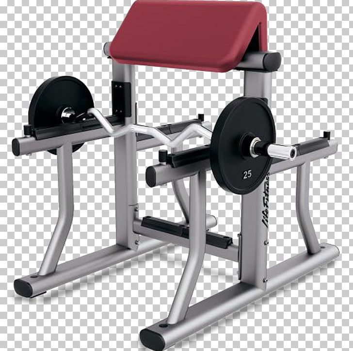 Bench Biceps Curl Weight Training Exercise Fitness Centre PNG, Clipart, Barbell, Biceps, Biceps Curl, Curl, Exercise Free PNG Download